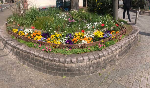 flowerbed in spring - garden decoration stock pictures, royalty-free photos & images