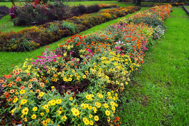 flowered border in autumn colors - garden decoration stock pictures, royalty-free photos & images