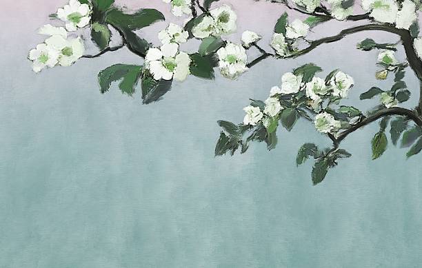 flowering fruit tree. symbol of spring - garden decoration stock illustrations