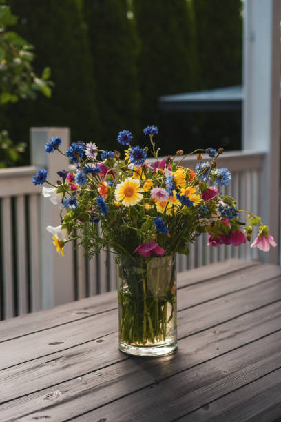 flowers - garden decoration stockfoto's en -beelden