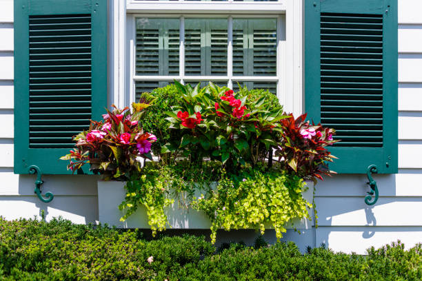 flowers adorn window box - garden decoration stock pictures, royalty-free photos & images