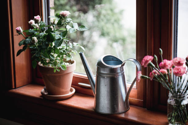 flowers and watering can by a window - garden decoration stock pictures, royalty-free photos & images