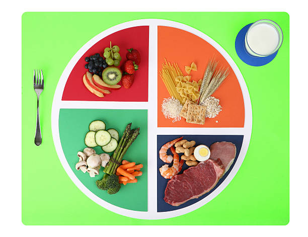 food plate nutrition chart split into four wedges - food stock pictures, royalty-free photos & images