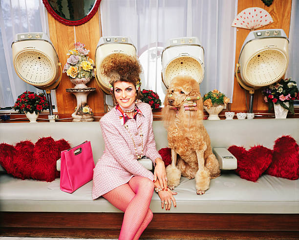 frau mit haustier pudel in retro-friseursalon - hairstyle stock-fotos und bilder