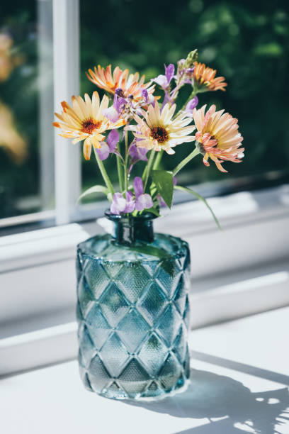 fresh cut flowers from garden in clear glass vase - garden decoration stockfoto's en -beelden