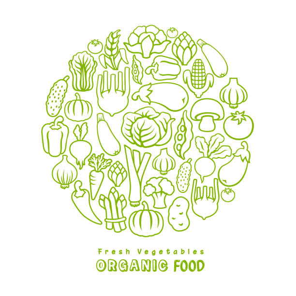 fresh vegetables. organic food. - food stock illustrations
