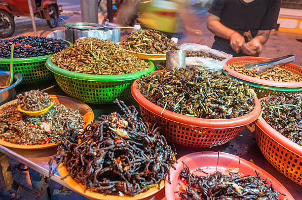 fried insects and bugs for sale in phnom penh, cambodia - food stock pictures, royalty-free photos & images