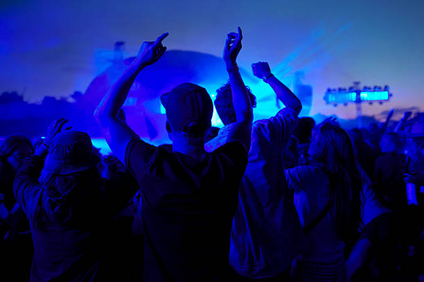 friends dancing at concert at night - concert stockfoto's en -beelden