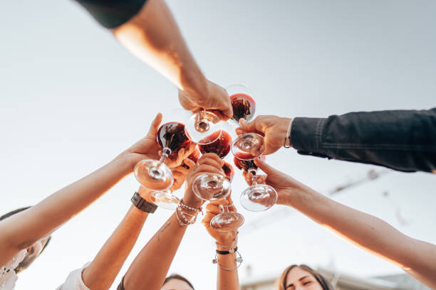 friends toasting at home party - food stockfoto's en -beelden