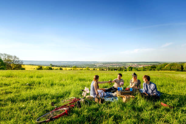 friends toasting bottles and having a picnic on field - food stock pictures, royalty-free photos & images