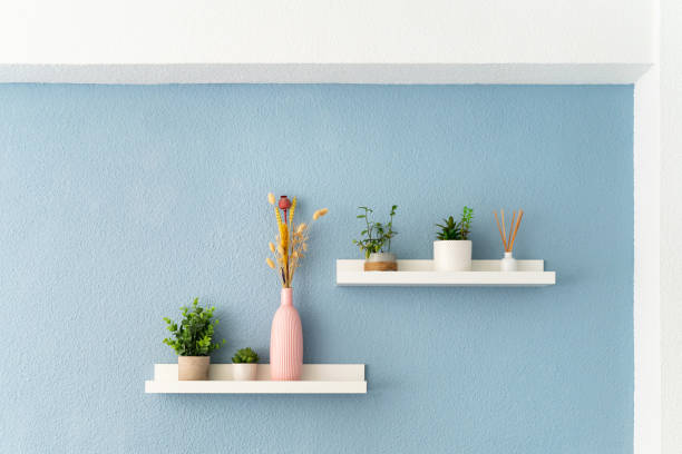 front view of decorative white shelve withplant decoration at empty apartment with painted blue wall - home decoration stock pictures, royalty-free photos & images