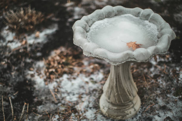 frozen birdbath - garden decoration stock pictures, royalty-free photos & images