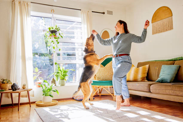 full length shot of an attractive young woman dancing with her dog in the living room at home - home decoration stock pictures, royalty-free photos & images