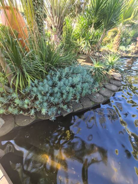 garden - garden decoration stockfoto's en -beelden