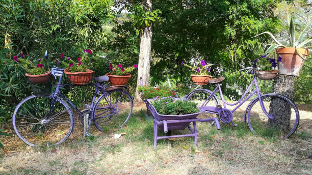 garden exterior decoration - garden decoration stockfoto's en -beelden