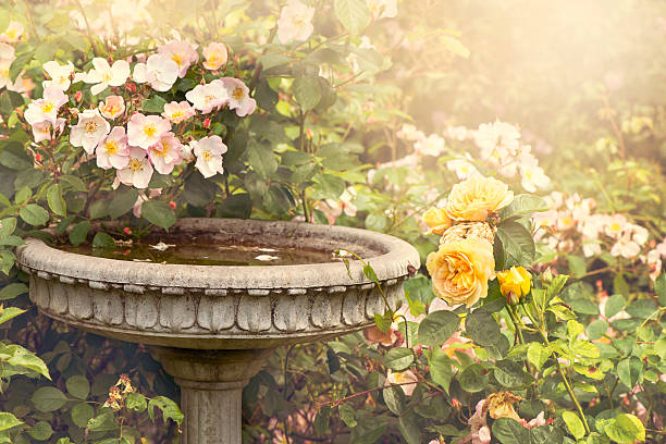 garden font with roses - garden decoration stock pictures, royalty-free photos & images
