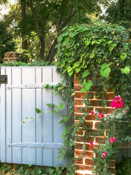 garden gate - garden decoration stock pictures, royalty-free photos & images