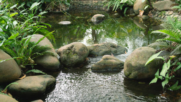 garden pond - garden decoration stock pictures, royalty-free photos & images