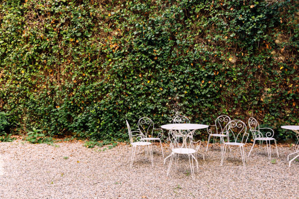 garden table and chairs by the green ivy wall at the winery in bordeaux, france - garden decoration stockfoto's en -beelden