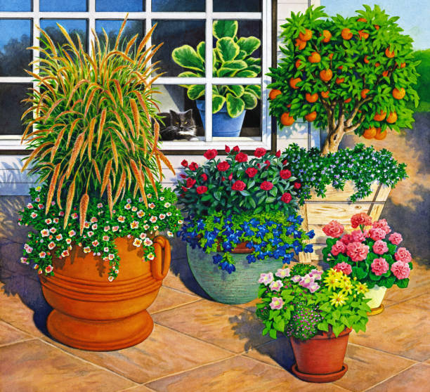 garden with cat in the window - garden decoration stock illustrations