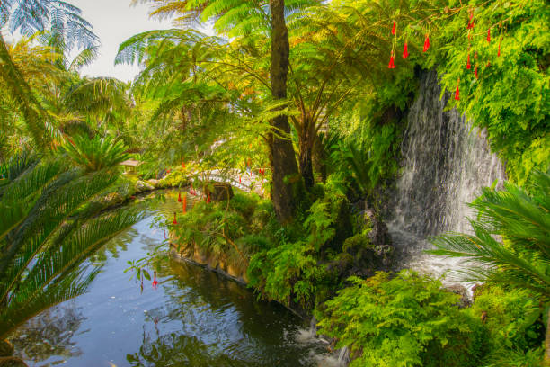 garden with plants in a lake and waterfalls in asian architecture - garden decoration stock pictures, royalty-free photos & images