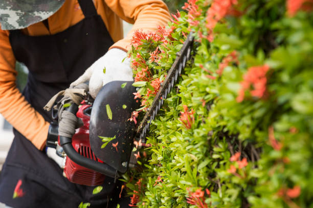 gardener decorating garden - garden decoration stock pictures, royalty-free photos & images