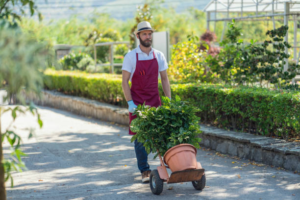 gardener working at the garden center - garden decoration stock pictures, royalty-free photos & images