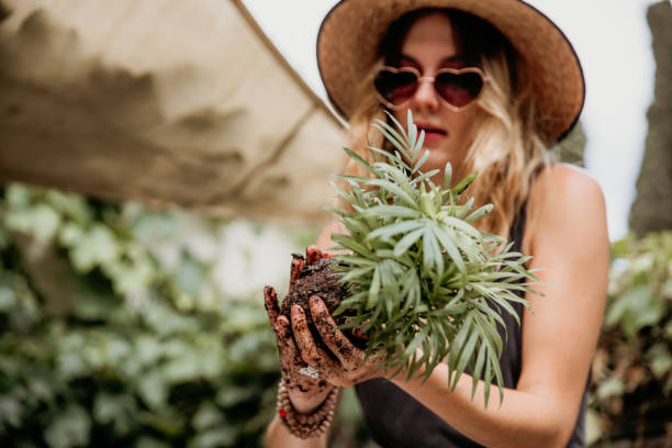 gardening florist kokedama experience - garden decoration stock pictures, royalty-free photos & images