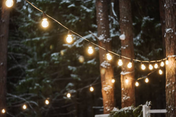 garland of lamps in the winter forest. - garden decoration stock pictures, royalty-free photos & images