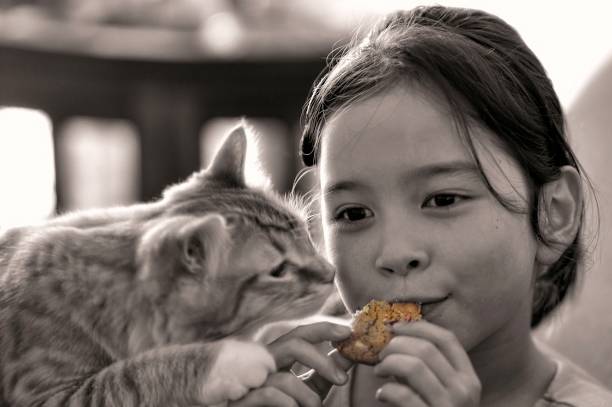 golden cookie - junk food stock-fotos und bilder