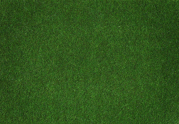 grass - garden decoration stock pictures, royalty-free photos & images