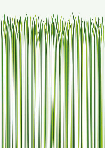 grass design - garden decoration stock illustrations