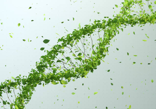 green dna - food stock pictures, royalty-free photos & images