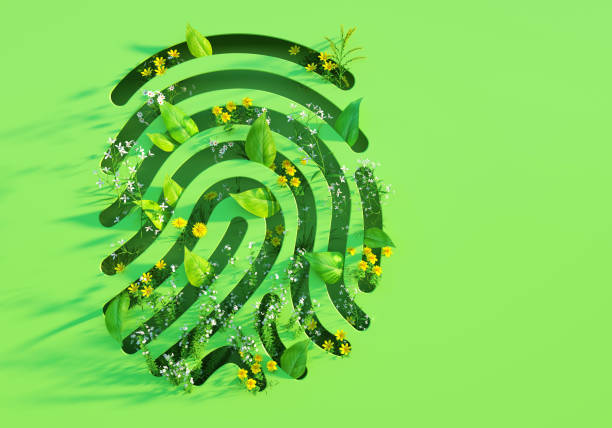 green fingerprint shape with leaves and flowers. - food stock pictures, royalty-free photos & images