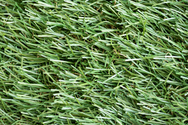 green grass background, artificial grass on playground - garden decoration stock pictures, royalty-free photos & images