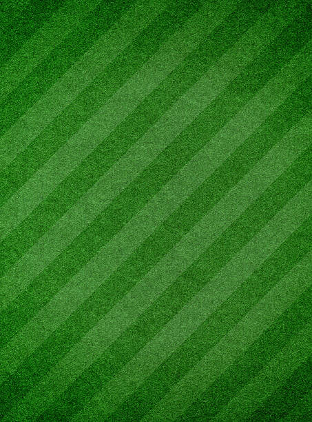 green grass textured background with stripe - garden decoration stock pictures, royalty-free photos & images