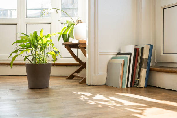 green plants and art books on parquet floor, nancy, france - home decoration stock pictures, royalty-free photos & images