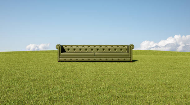 green sofa in grass - garden decoration stock pictures, royalty-free photos & images