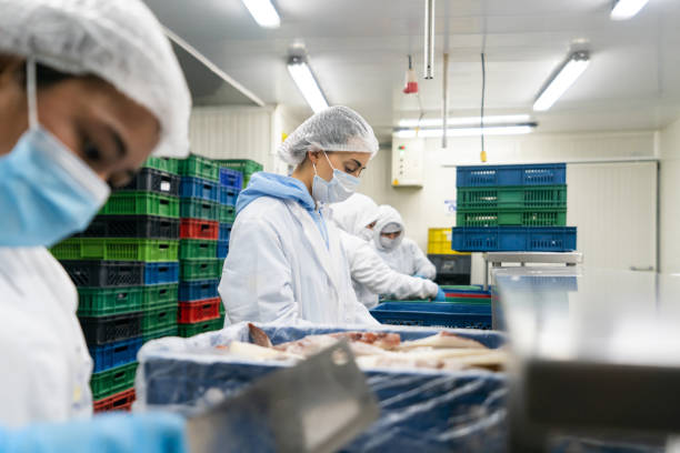 group of workers working in the production line at a fish factory - food stock pictures, royalty-free photos & images
