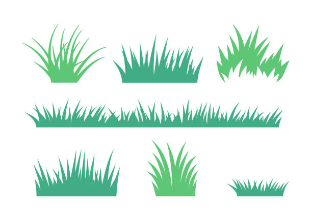 growing grass and cultivated lawn silhouettes and symbols - garden decoration stock illustrations