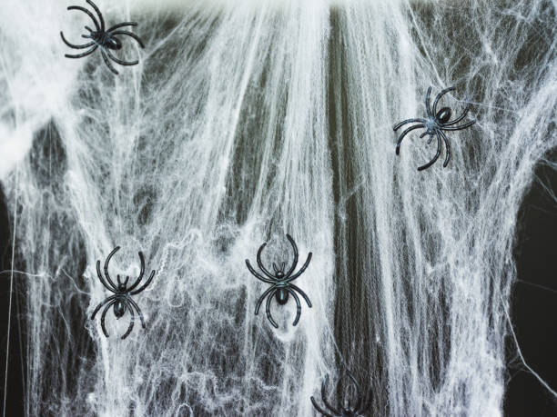 halloween decor spider web - home decoration stock pictures, royalty-free photos & images