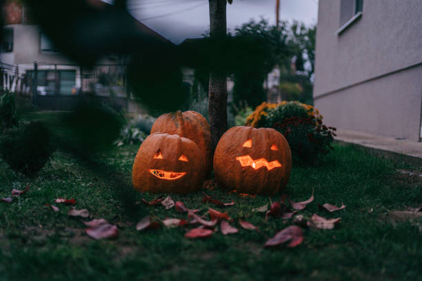 halloween decoration in a yard - garden decoration stock pictures, royalty-free photos & images