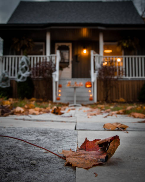 halloween night - garden decoration stock pictures, royalty-free photos & images