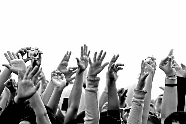 hands up - concert stock pictures, royalty-free photos & images