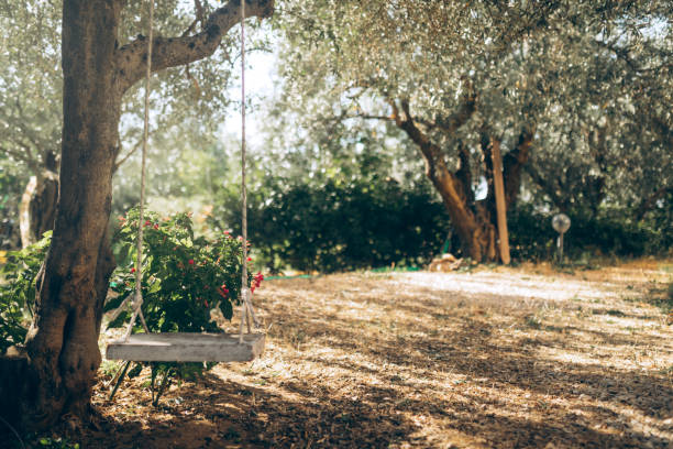hanging swing in a beautiful garden. - garden decoration stock pictures, royalty-free photos & images