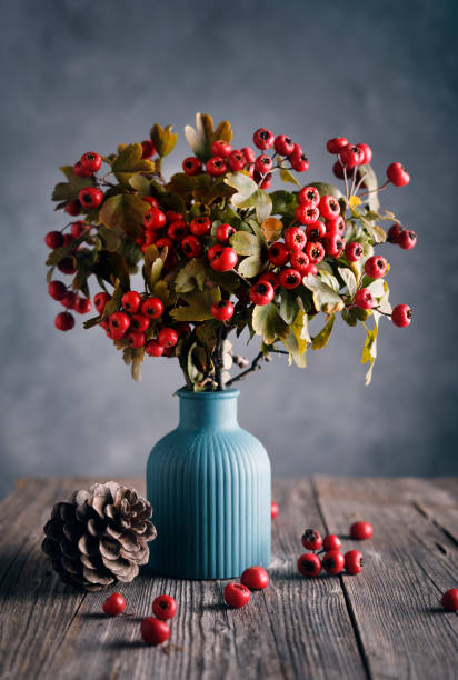 hawthorn branches in a vase - home decoration stock pictures, royalty-free photos & images