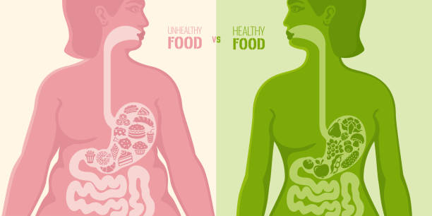 healthy and unhealthy food - junk food stock illustrations