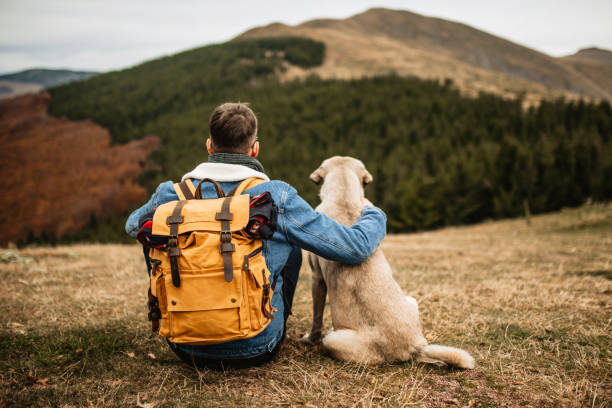 hiker with backpack and his dog resting on mountain - travel stock pictures, royalty-free photos & images