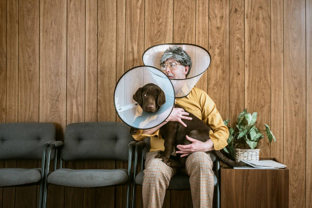 homme au vétérinaire porte cône de chien - fashion photos et images de collection