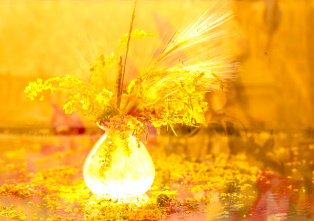 hot day - garden decoration stock pictures, royalty-free photos & images